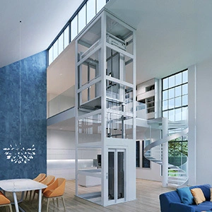 Cogbelt Small House lifts in Perth